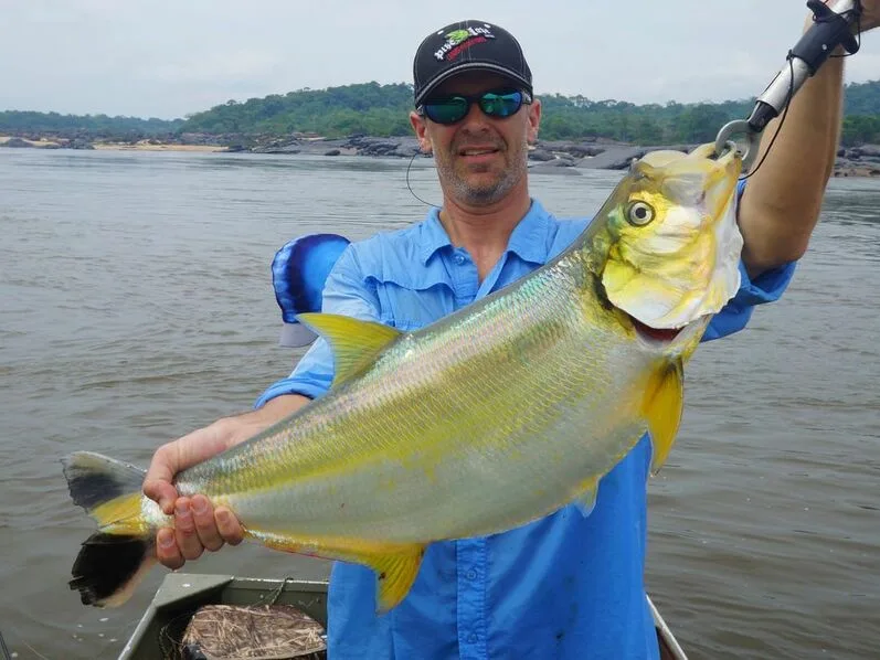 Big Sardinata caught by the author's friend Gary in Colombia