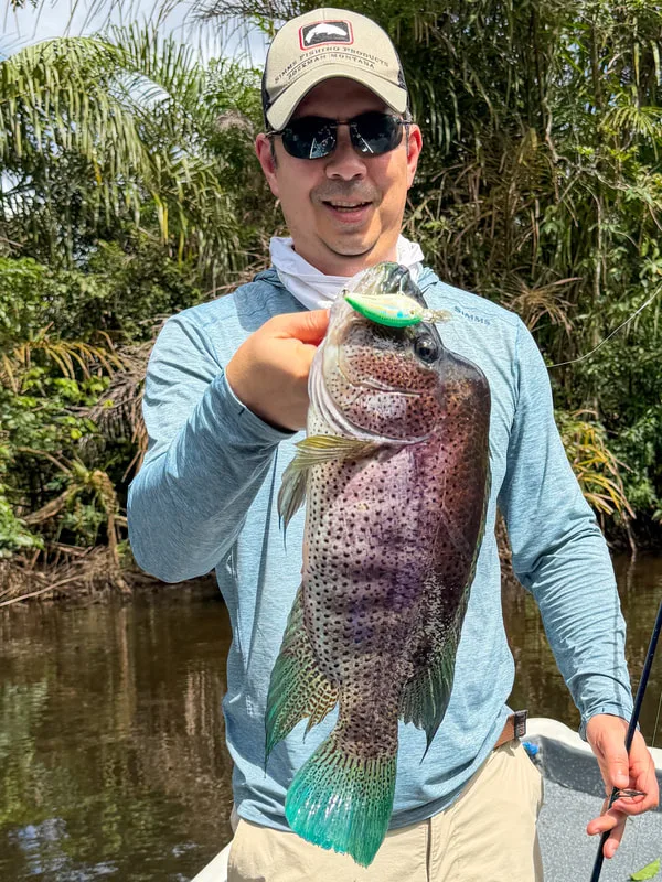 PCrankbaits catch more than their share of Rainbow Bass