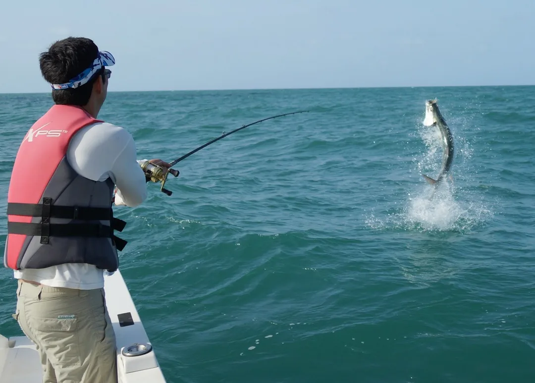 Tarpon jumping in Costa Rica