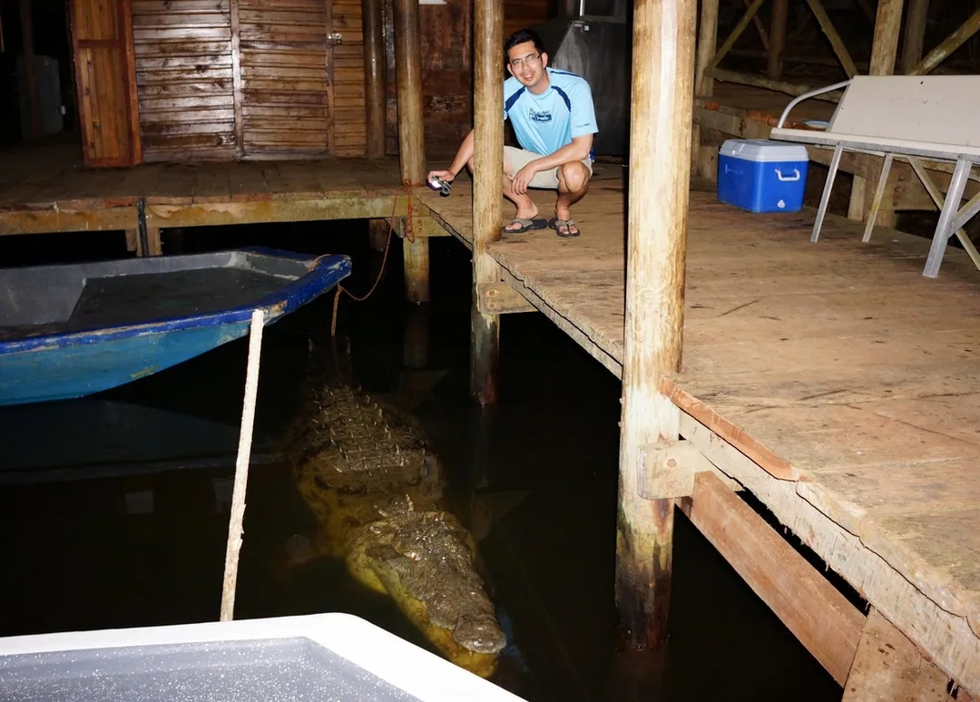 Big croc in Nicaragua