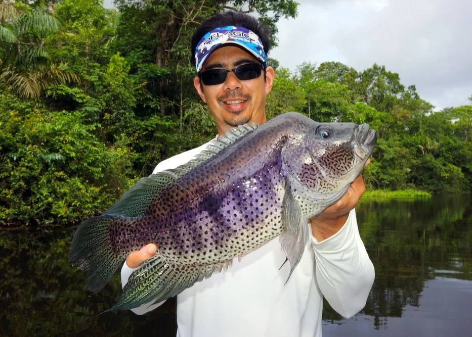 The author with a big Rainbow Bass caught at the Rio Indio Lodge, Nicaragua, on a spinnerbait.