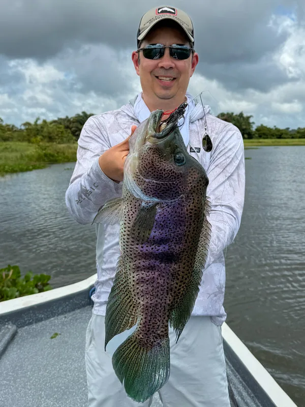 Big Rainbow Bass love spinnerbaits