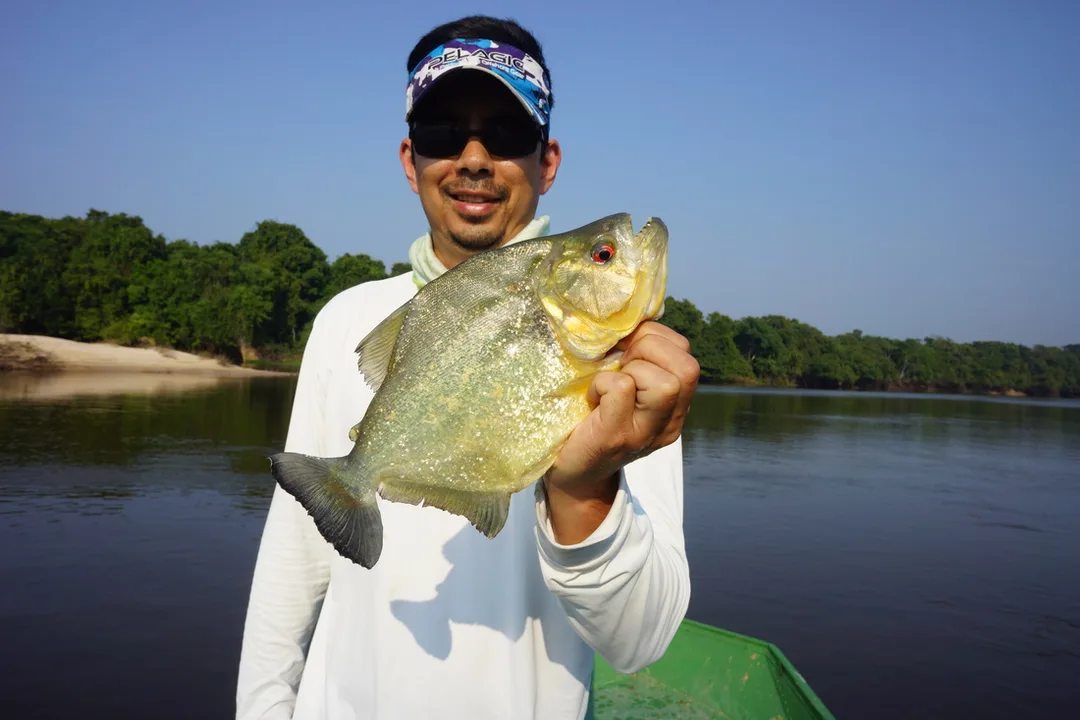 White Piranha caught in Bolivia on bait