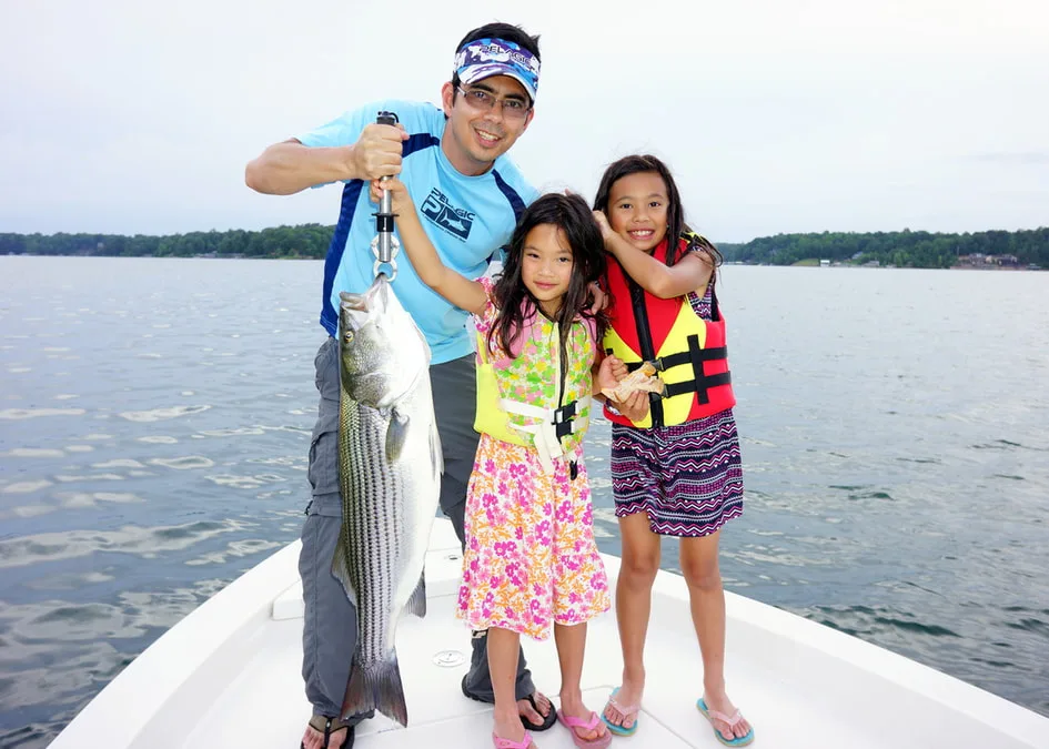 Striped Bass caught in Smith Lake, AL on a live Gizzard Shad