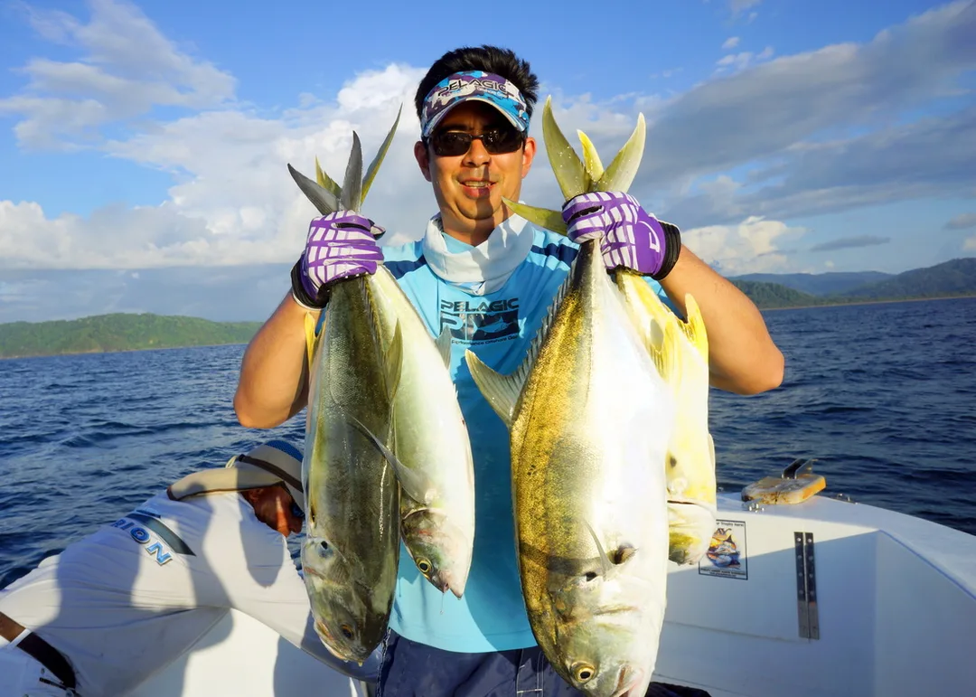 Jacks like these aggressively pursue metal jigs retrieved quickly .  These were caught out of Sierpe in Costa Rica.