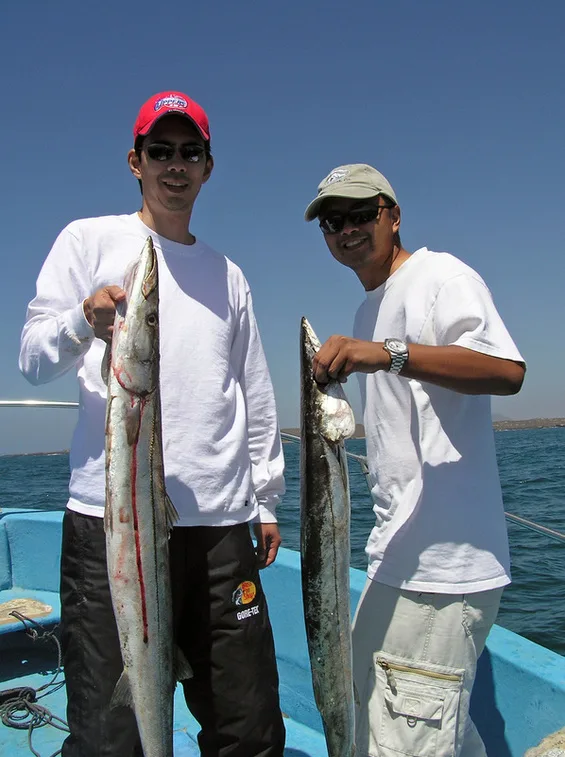 The author and his friend Mike with some hefty Pacific Barracuda in San Quintin, Mexico.  The one on the left is about as big as I have seen them get.