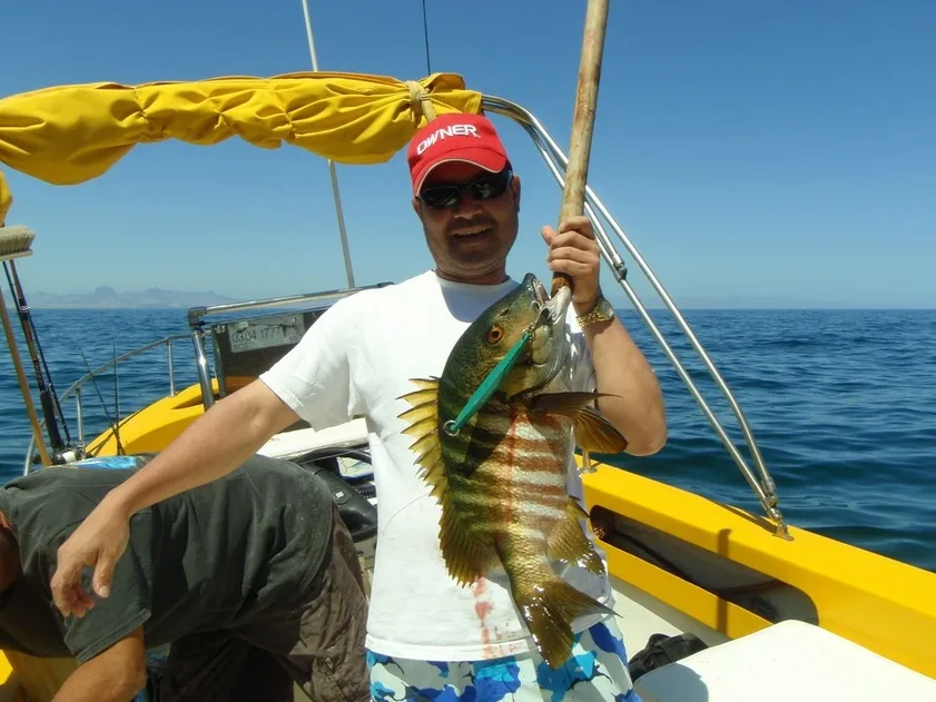 Barred Pargo caught near San Evaristo, Baja Sur, Mexico on a surface iron jig.