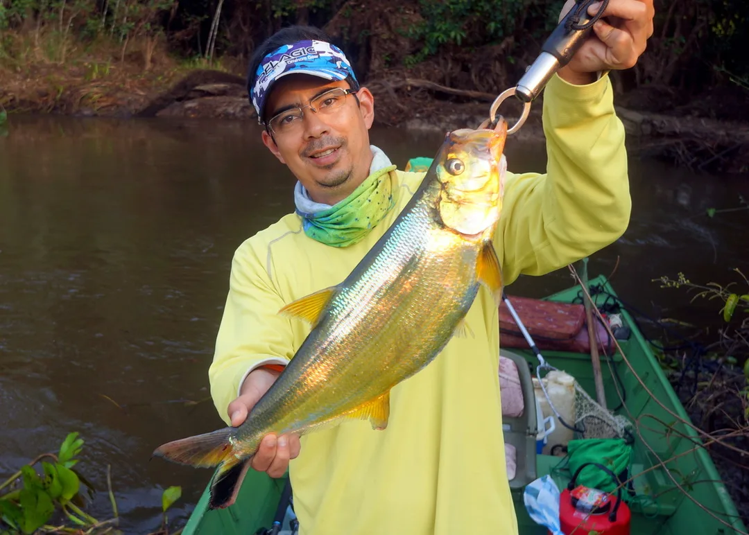 Sardinata fooled by a Yo-Zuri Crystal Minnow in Bolivia