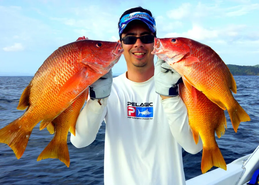 Yellow Snapper caught near Cebaco Island, Panama on iron jigs fish near the bottom