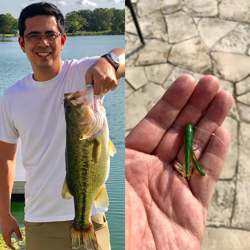 Big baits often get big bass, but when the bite gets tough and the water is clear I like to downsize.  I've caught countless bass, including this nice one here, on this tiny 1.5