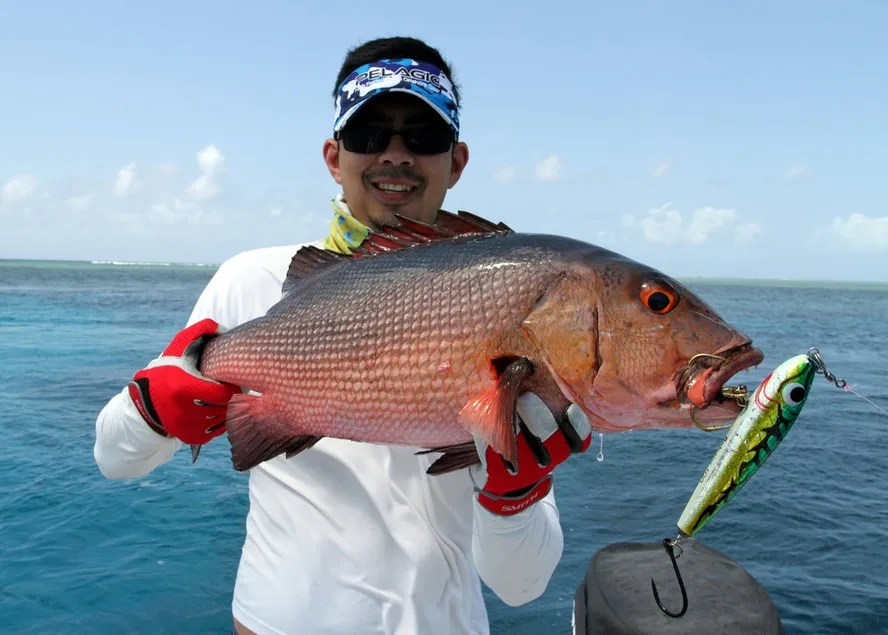 Red Bass caught in the northern Great Barrier Reef, Australia on a Heru Bobara stickbait