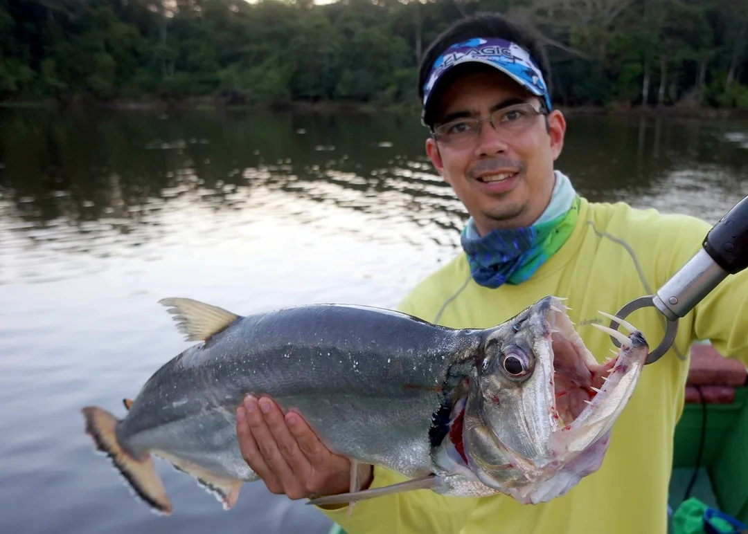 My first Payara, 
