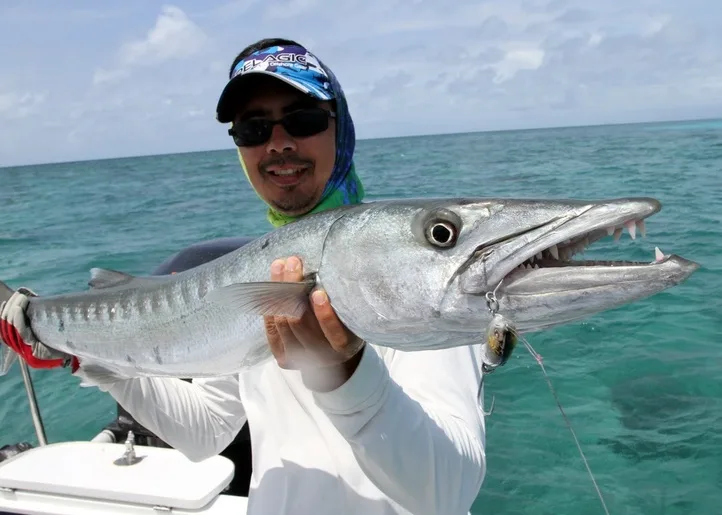 Great Barracuda that fell for a black/silver sinking model