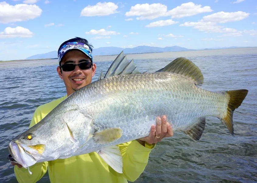 Barramundi caught near Burdekin River, Australia