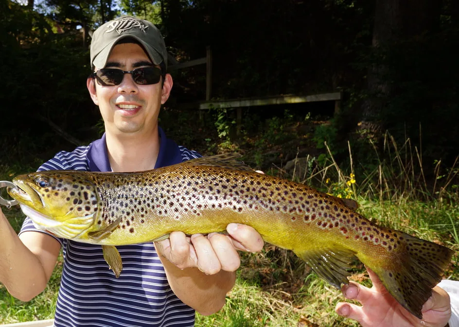 Another White River Brown Trout caught on a jig.