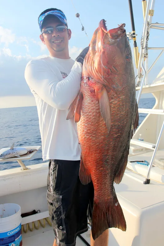 Huge Cubera Snapper