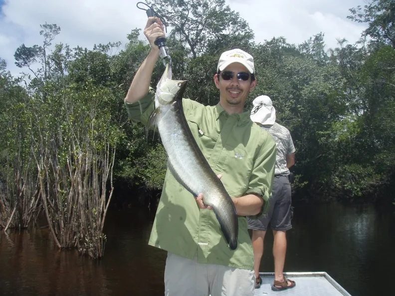 Black Arowana caught in Brazil