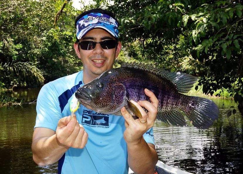 They even work in the jungle.  Here is a Rainbow Bass caught in Nicaragua on a Bomber Fat Free Shad.