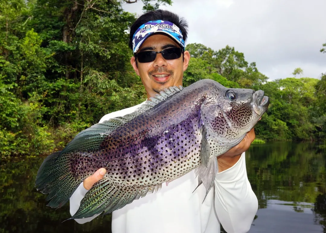 Big Rainbow Bass in Nicaragua