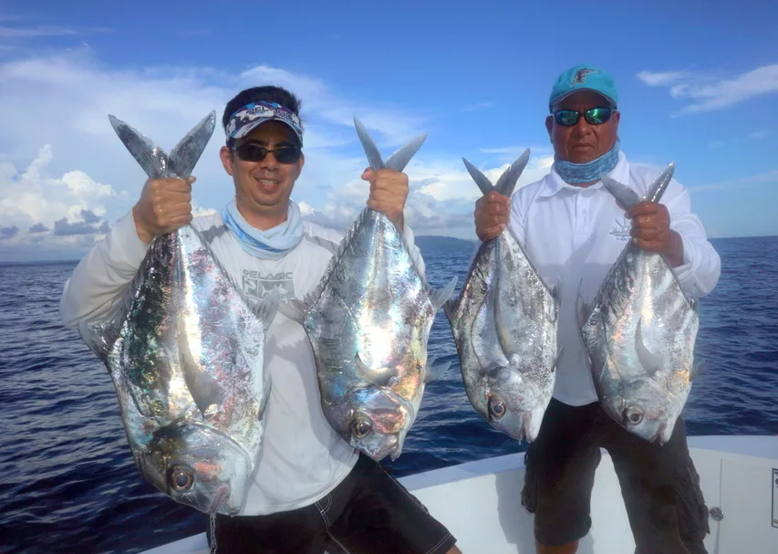 African Pompanos caught on live sardinas out of Sierpe, Costa Rica