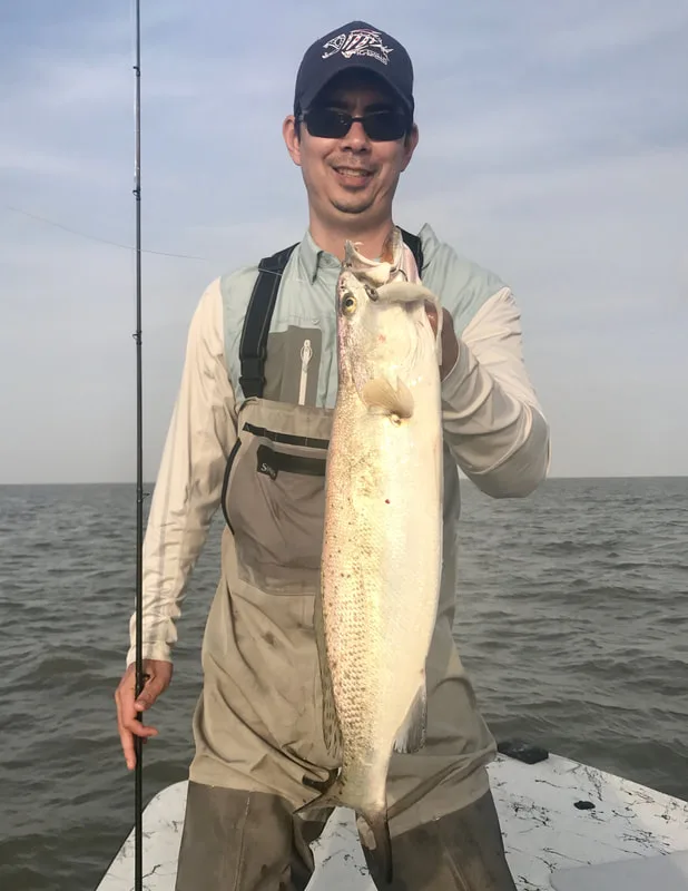 Big Speckled Trout love plastics