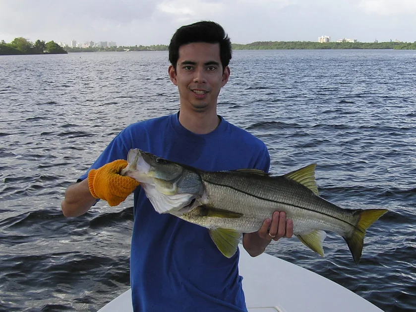 Snook caught on a sardine in Puerto Rico