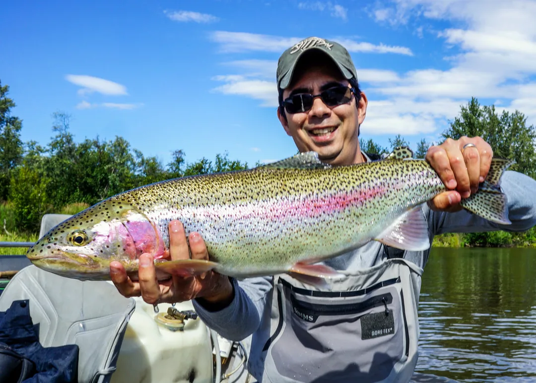 A big Rainbow caught on a pink marabou jig on the Aniak River in Alaska