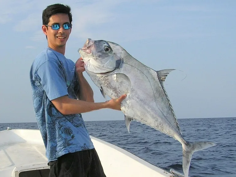 African Pomano caught in Caye Caulker, Belize on a strip bait.  Note the trailing filament still attached to the dorsal fin.
