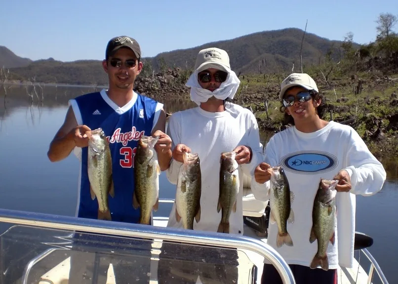 These bass, along with 80 others that day, were all caught on Bomber Fat Free Shads.