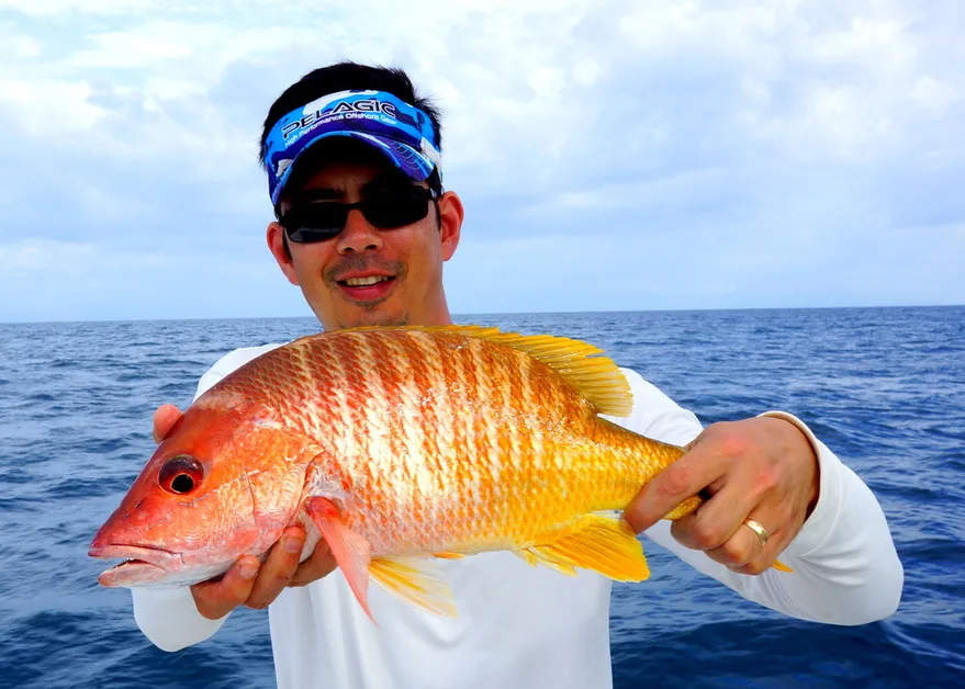 Yellow Pargo caught near Cebaco Island, Panama on an iron jig fished near the bottom