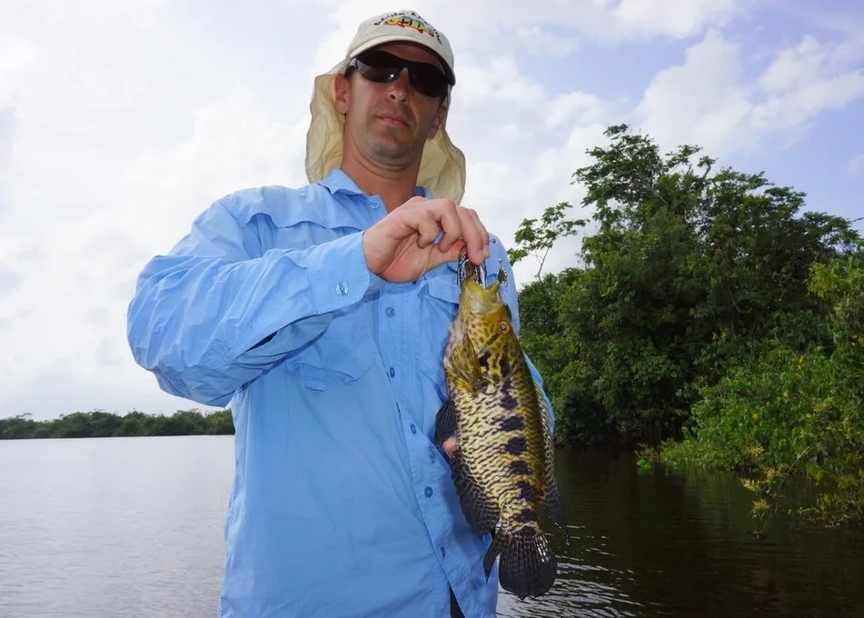 Jaguar Cichlid caught on a spinnerbait at the Rio Indio Lodge, Nicaragua