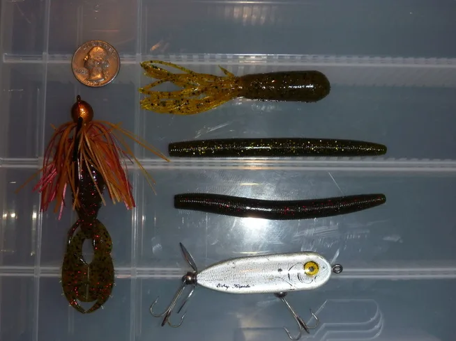Clockwise from left:  Bitsy Bug with Sweet Beaver trailer, Strike King Pro Tube, Senkos, Heddon Baby Torpedo