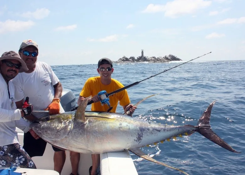 Big Yellowfin Tuna caught in Puerto Vallarta on two caballitos fished off a kite