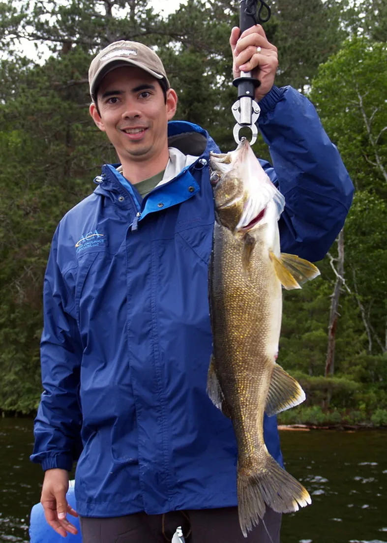 A healthy Walleye caught in Hawk Lake, Canada on a Rapala lure