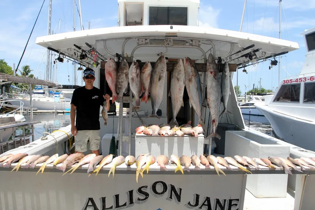 Not a bad catch for just the author fishing over a couple of days in the Dry Tortugas.  Many fish released as well.