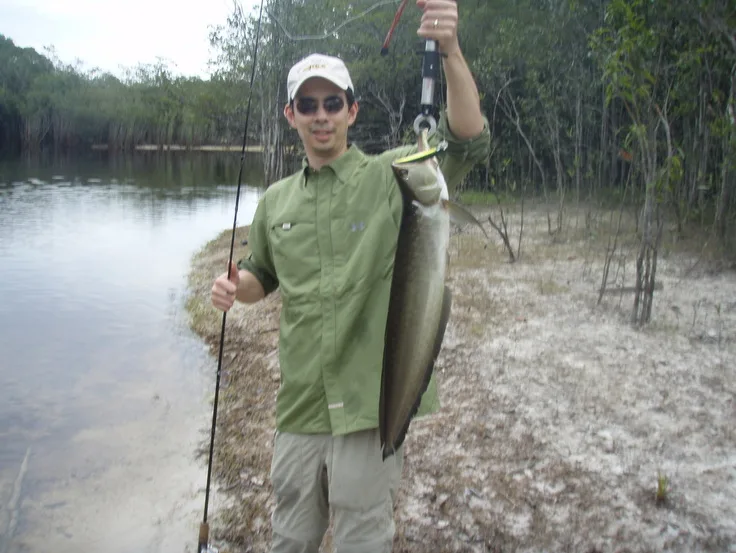 Black Arowana caught from shore in Brazil on a floating Yo-Zuri Crystal Minnow