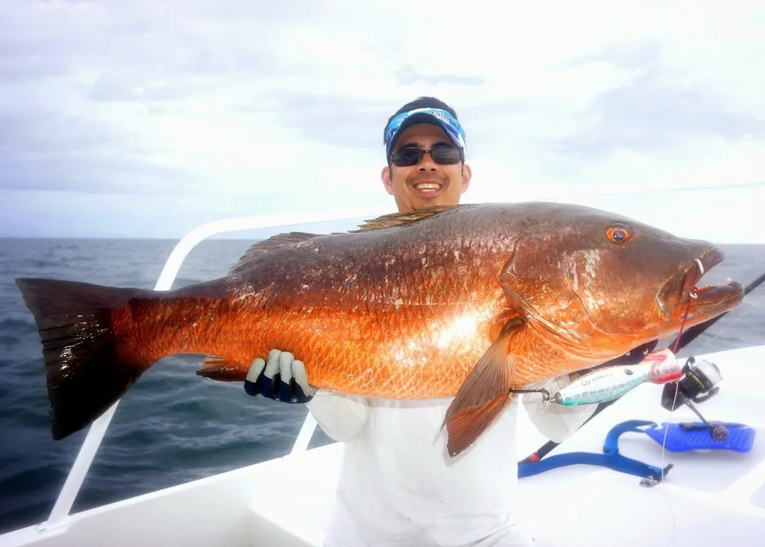 Cubera Snapper on popper