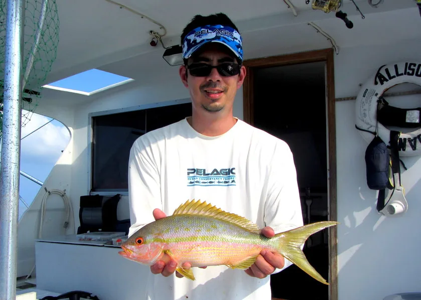 Yellowtail Snapper caught in the Dry Tortugas, Florida