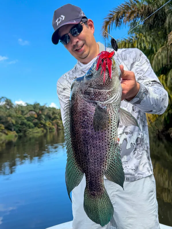 Spinnerbaits have caught a lot of nice fish for me