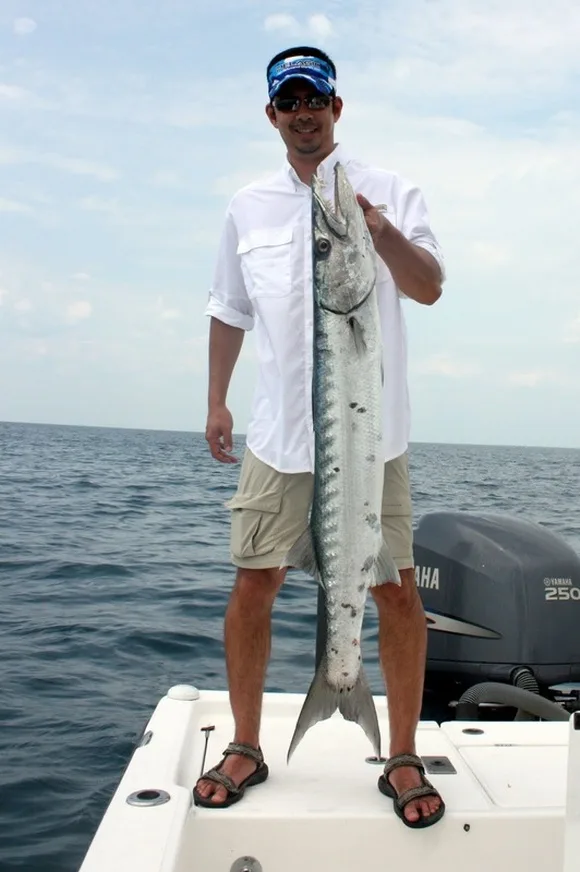 Great Barracuda caught near Boca Grande, Florida