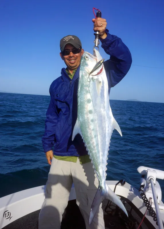 Queenfish caught on Sebile Stick Shadd