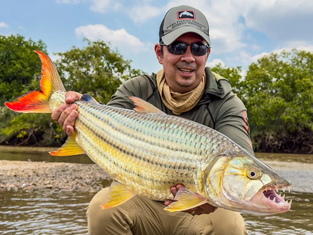 A healthy Tigerfish from the Malagarasi River in Tanzania. Caught on a Chatterbait.