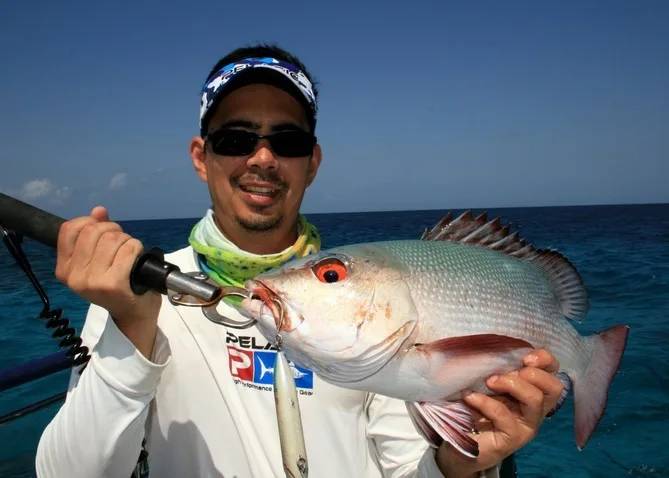 Red Bass taken on a Super Spook on the Great Barrier Reef, Australia