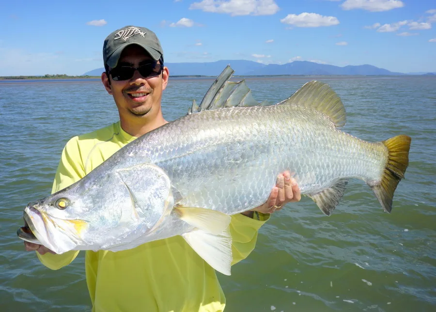 Another big Australian Barramundi