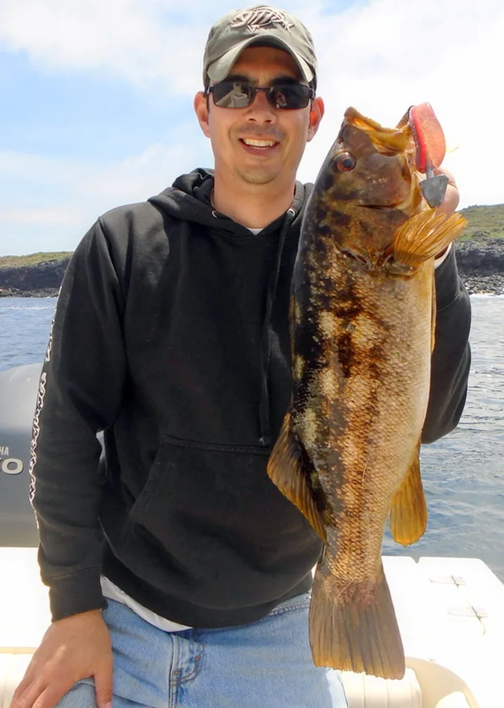 The author's big Calico Bass caught casting the shoreline with a Big Hammer plastic swimbait in San Quintin, Mexico