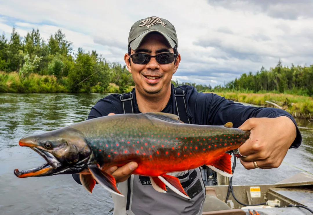 The author's brilliantly colored Dolly Varden caught on an egg fly in Alaska