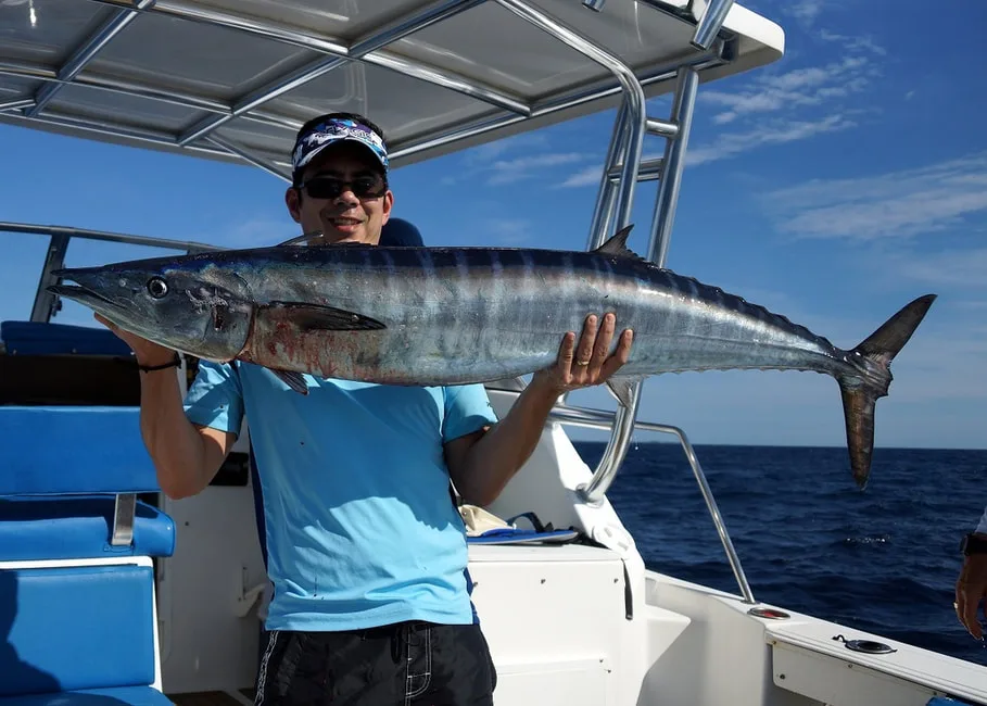 Wahoo caught in Bayahibe, Dominican Republic on a live bonito