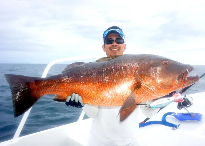This Cubera Snapper in Panama took a liking to its namesake lure