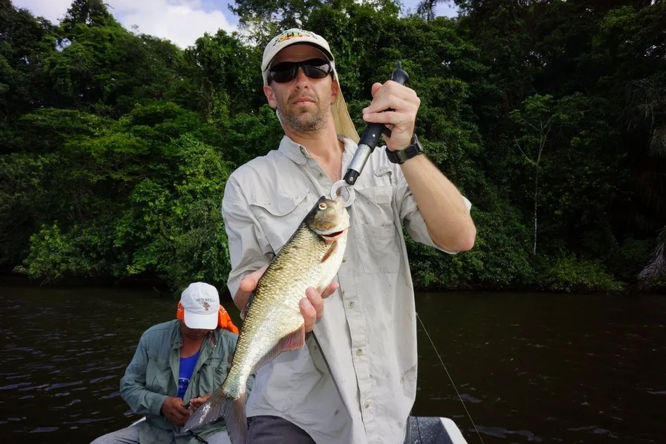 Machaca caught at the Rio Indio Lodge, Nicaragua