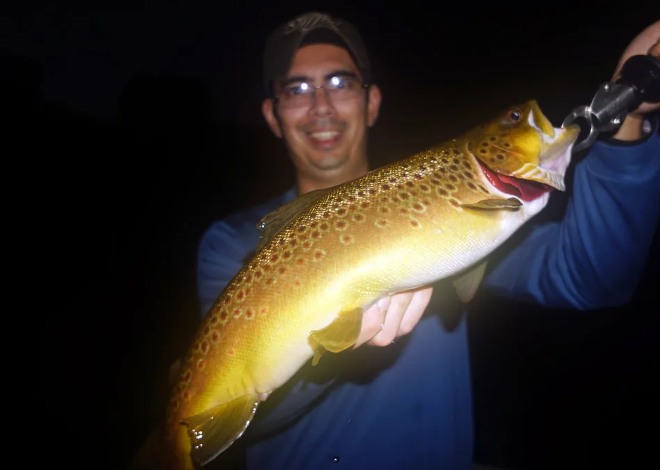 Brown trout bite well in the dark, and that can be the key to success in heavily fished areas